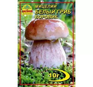 Мицелий Белый гриб Боровик, 10 г