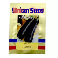 Семена баклажана Найт Леди F1 1000 шт. United Genetics