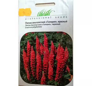 Семена цветов сорт Люпин многолетний Галлерея красный