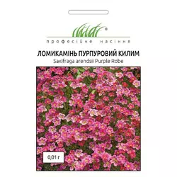 Семена цветов Камнеломка Пурпурный ковер 0,01 г. 395532