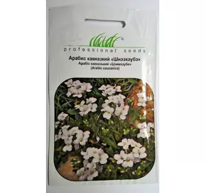 Семена цветов Арабис кавказский " Шнеехаубе " белый 0,1 гр
