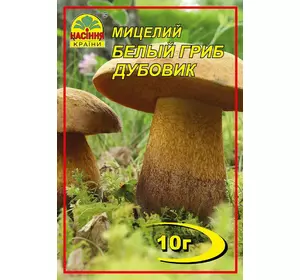 Мицелий Белый гриб Дубовик 10 г