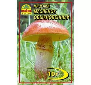 Мицелии Масленок обыкновенный 10 г