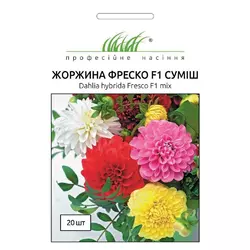 Семена цветов Георгина Фреско F1 смесь 10 шт. Syngenta