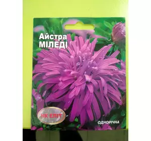  Семена цветов 0,3 гр сорт Астра Миледи НК Элит 