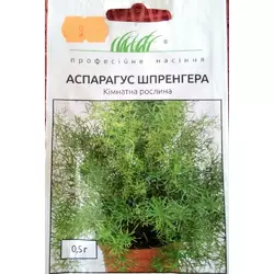 Семена комнатных растений Аспарагус Шпренгера 0,5 гр