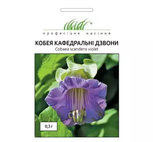 Семена цветов Кобея кафедральные колокола 0,3 г Hem Zaden 04351