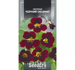 Seed Era Настурция Черный бархат 1.5 г