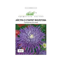 Семена цветов астра Си Старлет фиолетовая 20 шт, Satimex