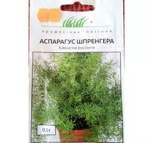 Семена комнатных растений Аспарагус Шпренгера 0,5 гр