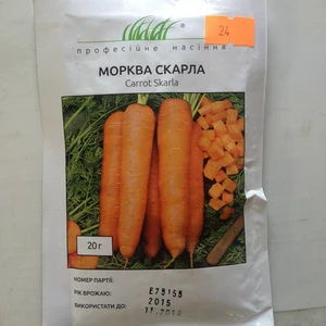 Семена моркови